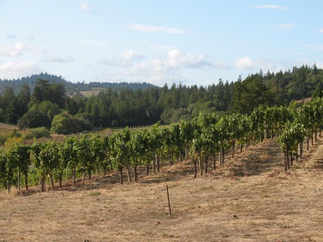 Kenneth E. Harker - 2009 Anderson Valley and Ukiah Valley